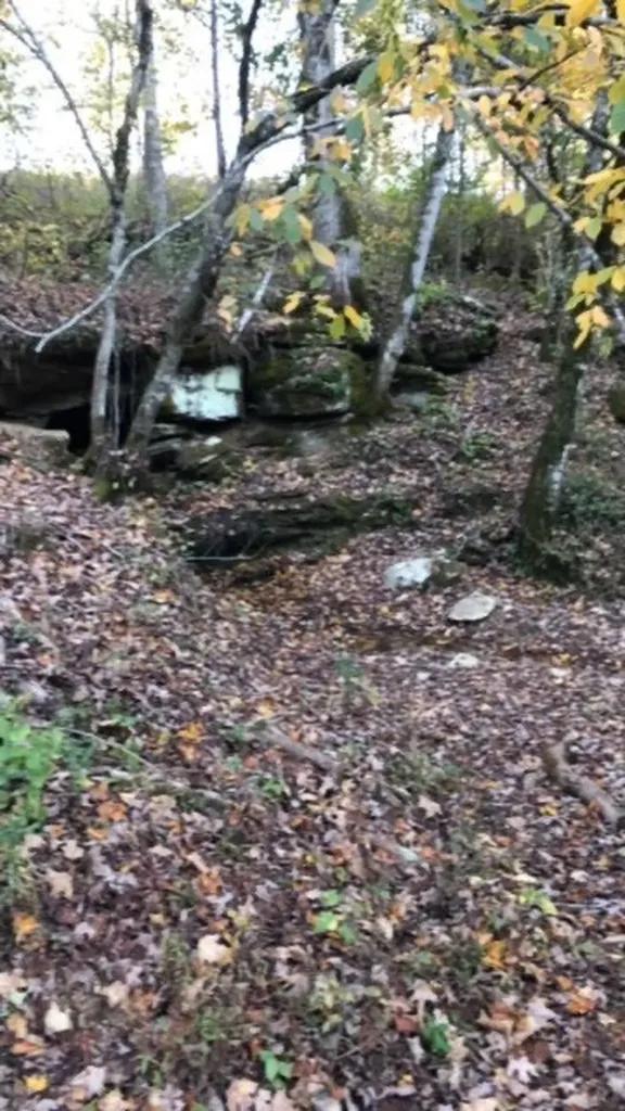 899 Messenger Road Sparta TN 38583