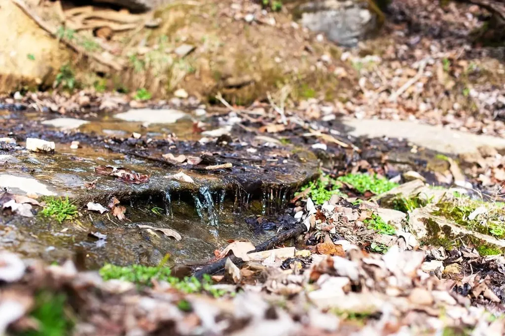 899 Messenger Road Sparta TN 38583