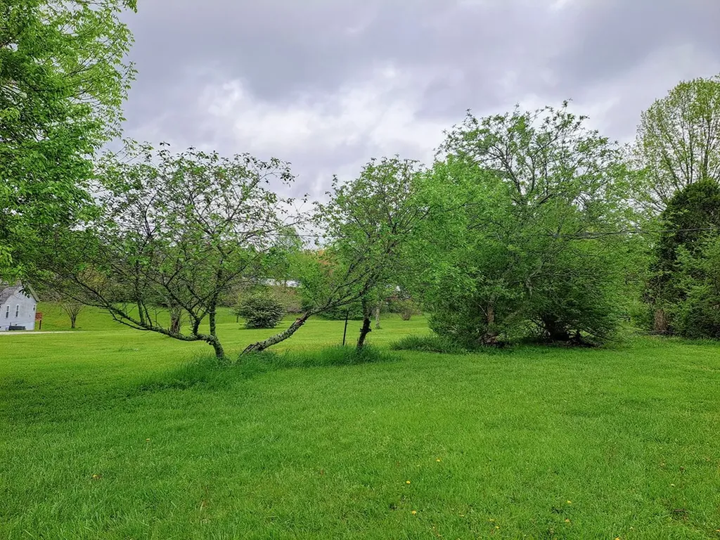 238 Church Drive Pleasant Hill TN 38578