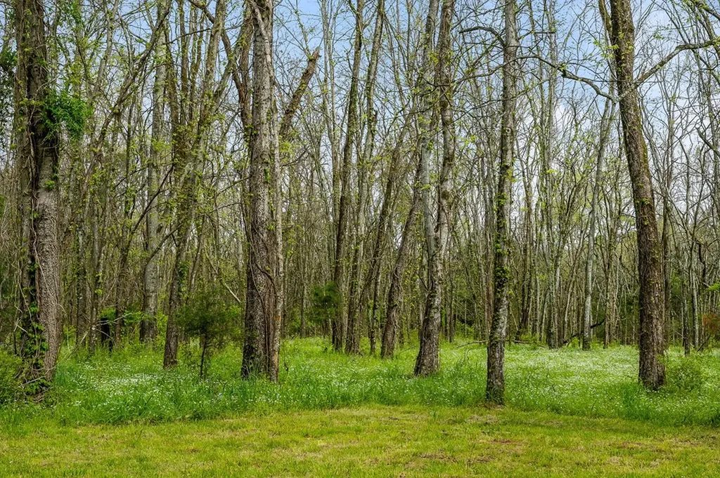 134 Opossum Hollow Road Watertown TN 37184