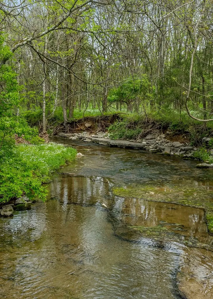 134 Opossum Hollow Road Watertown TN 37184