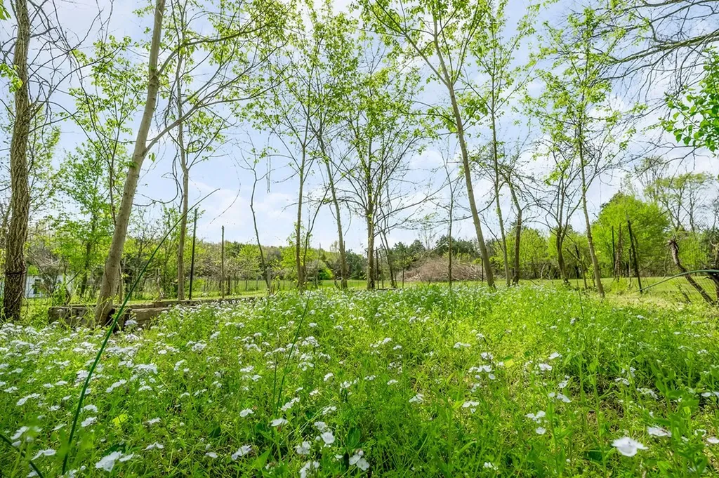 134 Opossum Hollow Road Watertown TN 37184