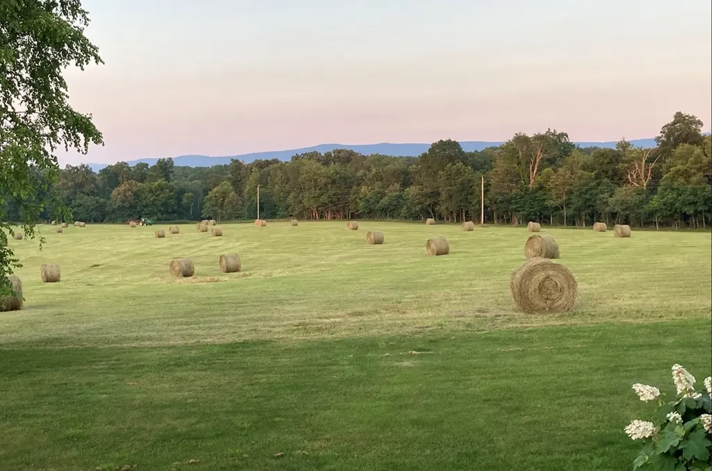 895 Parnell Road Crossville TN 38572