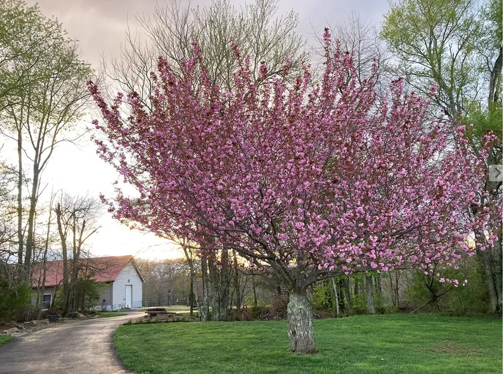 895 Parnell Road Crossville TN 38572