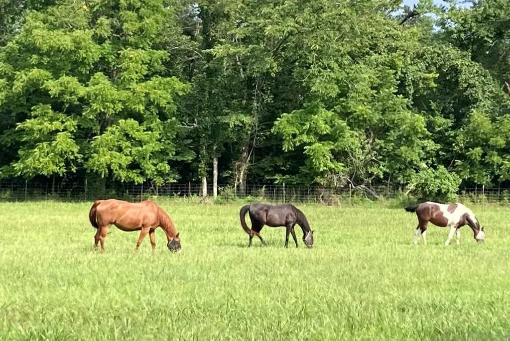 895 Parnell Road Crossville TN 38572