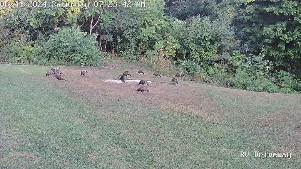 5579 Pendergrass Road Byrdstown TN 38549