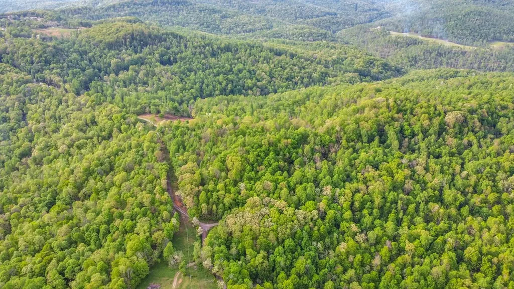 8150 Round Cove Road Sparta TN 38583