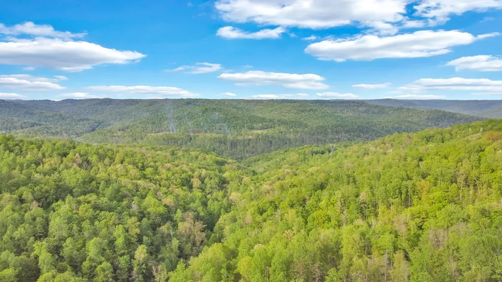 8150 Round Cove Road Sparta TN 38583