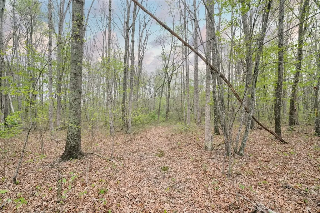 547 Clear Creek Lane Monterey TN 38574