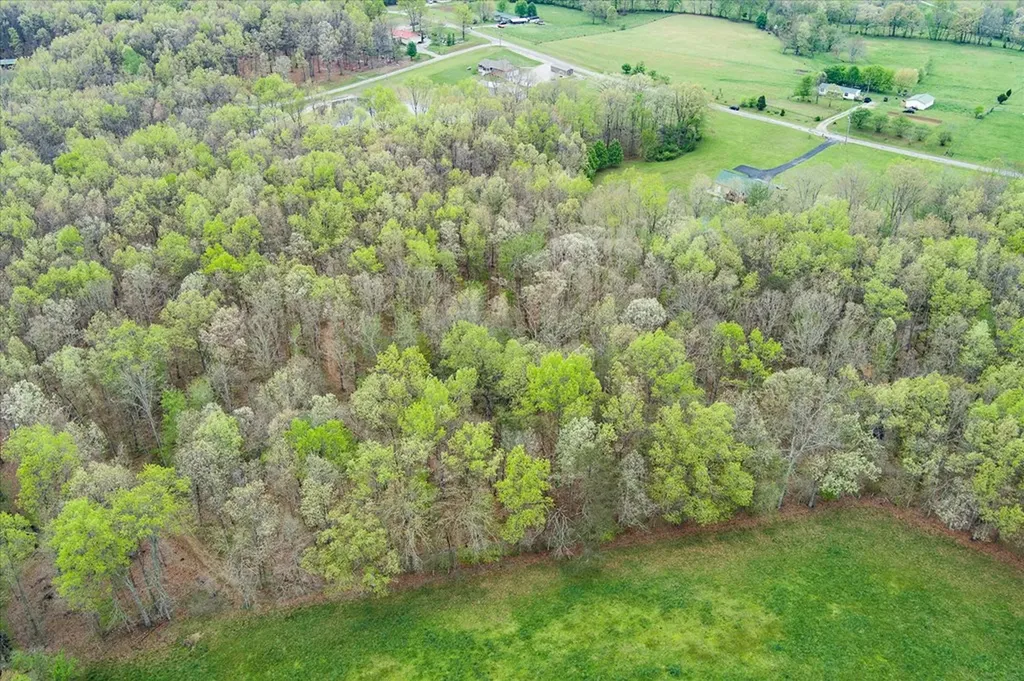 547 Clear Creek Lane Monterey TN 38574