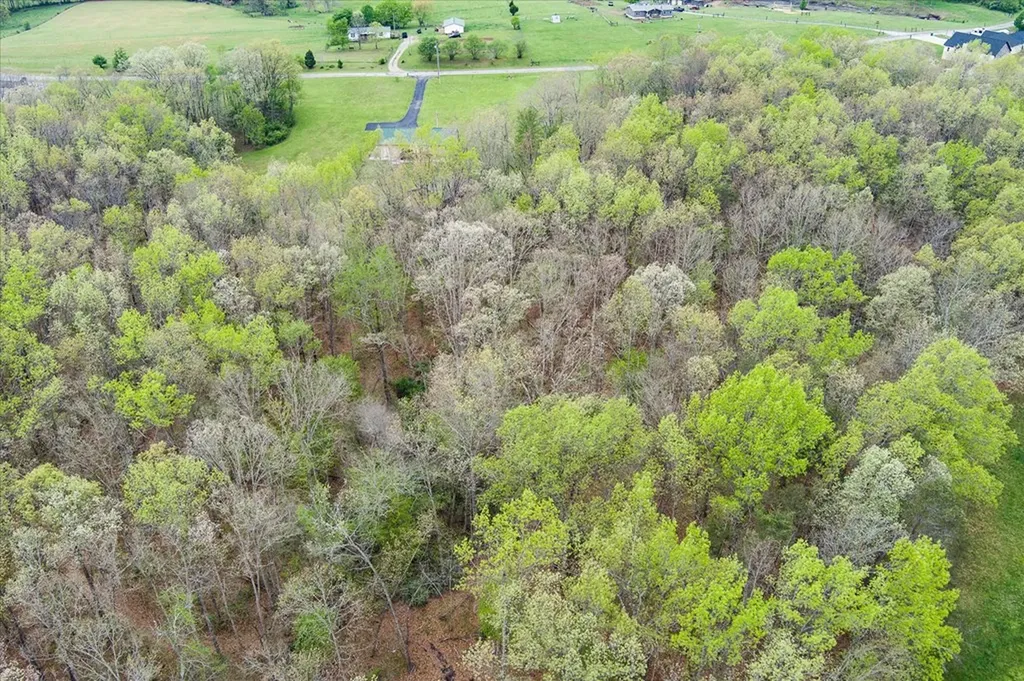 547 Clear Creek Lane Monterey TN 38574