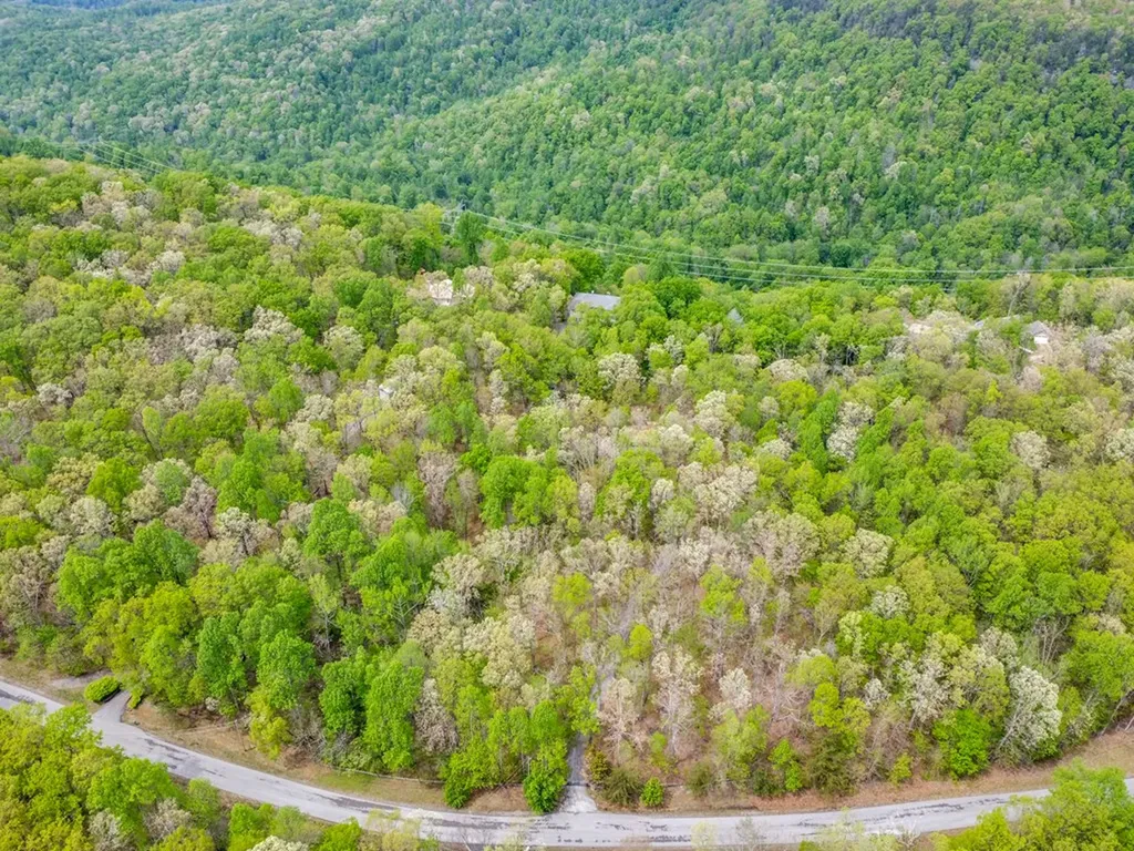 1164 Davidson Drive Monterey TN 38574