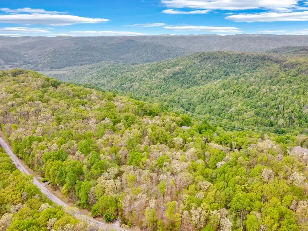 1164 Davidson Drive Monterey TN 38574