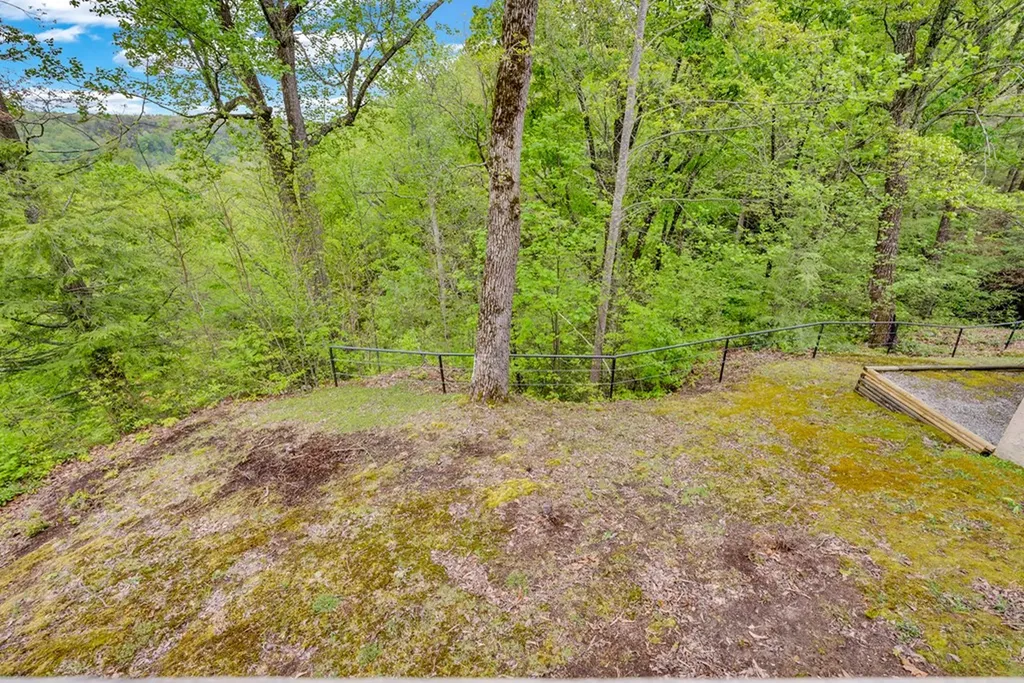 1164 Davidson Drive Monterey TN 38574