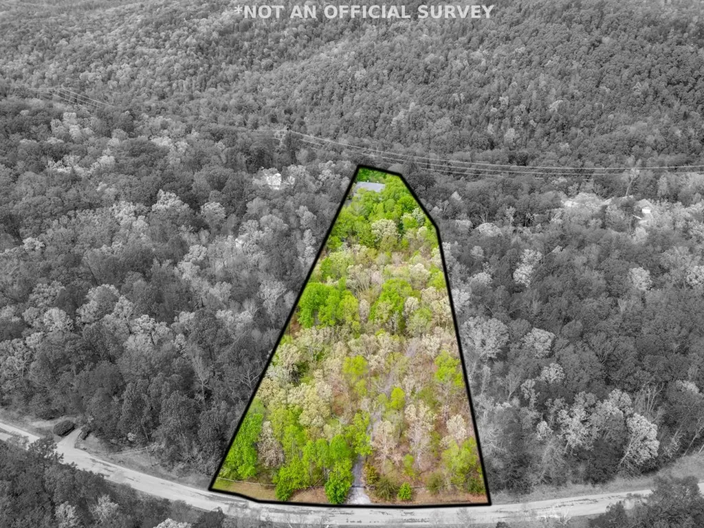 1164 Davidson Drive Monterey TN 38574