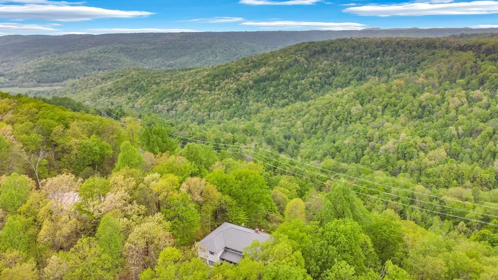 1164 Davidson Drive Monterey TN 38574