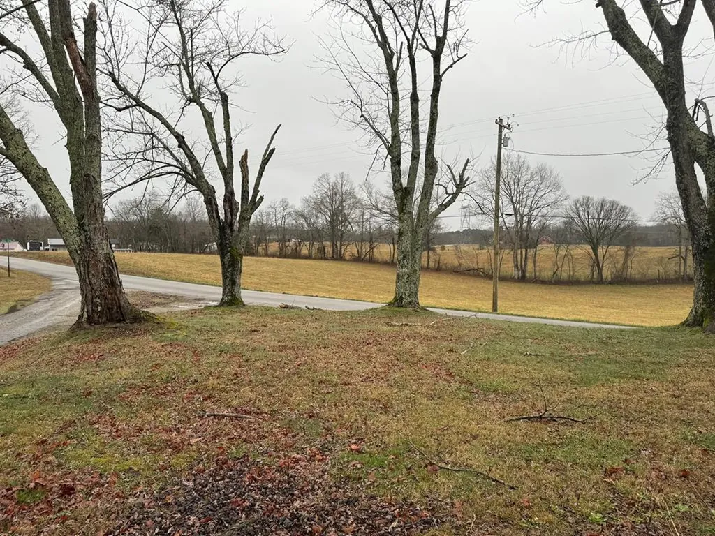 6115 Carrs Chapel Road Silver Point TN 38582