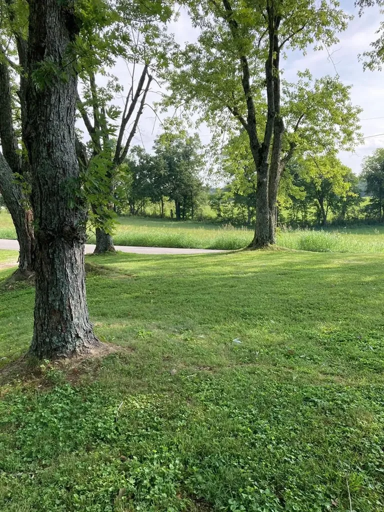 6115 Carrs Chapel Road Silver Point TN 38582