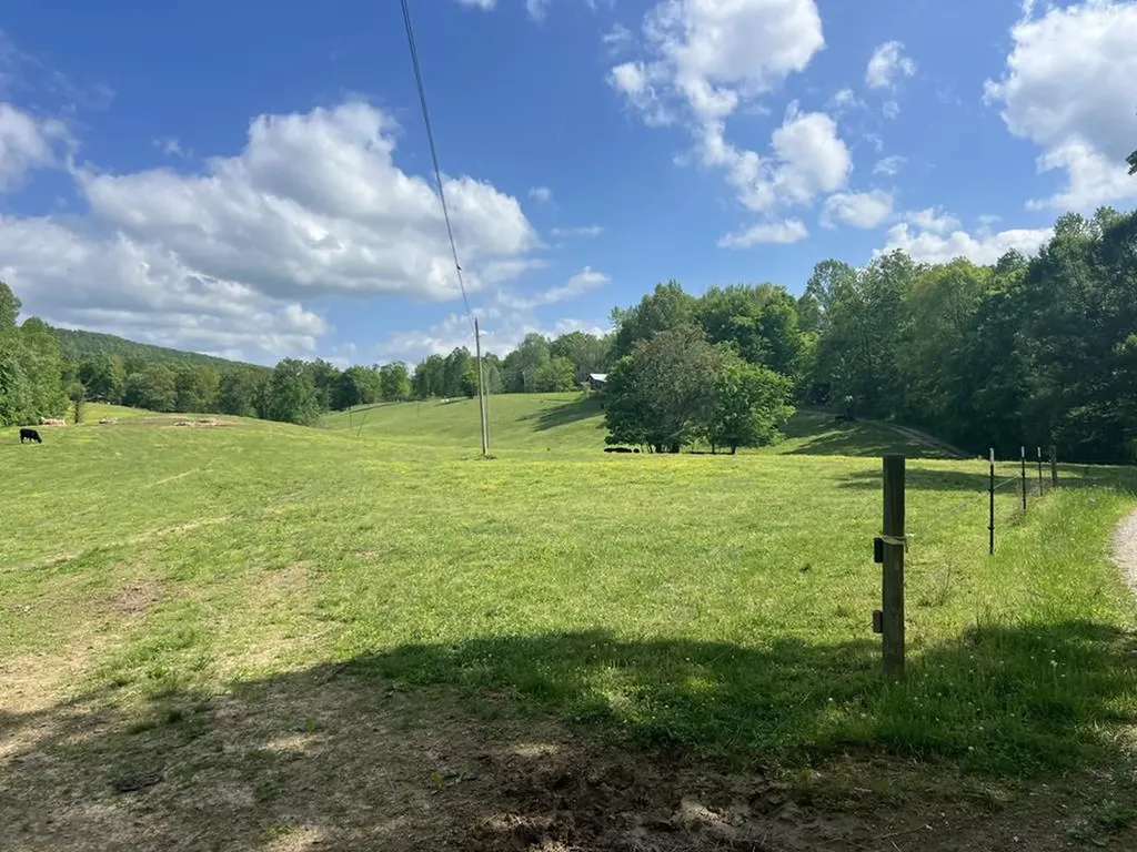 43.36 Ac Winningham Road Byrdstown TN 38549
