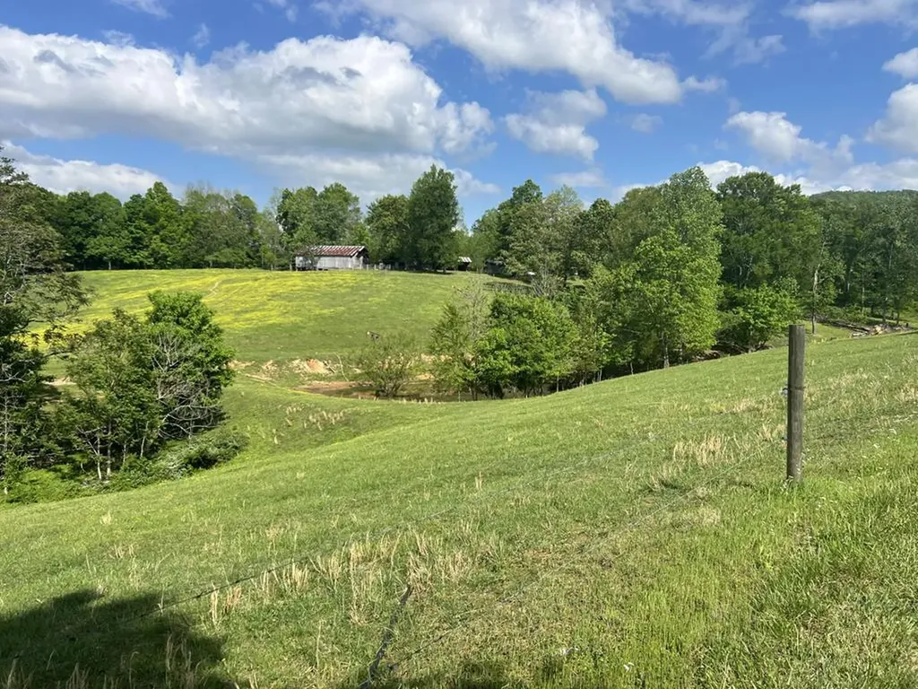 43.36 Ac Winningham Road Byrdstown TN 38549