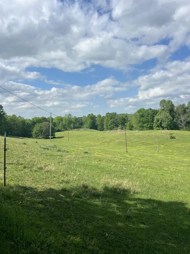 43.36 Ac Winningham Road Byrdstown TN 38549