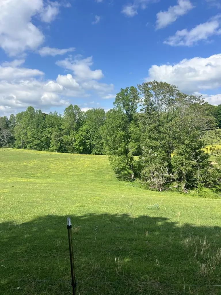43.36 Ac Winningham Road Byrdstown TN 38549