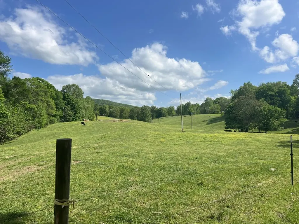 43.36 Ac Winningham Road Byrdstown TN 38549