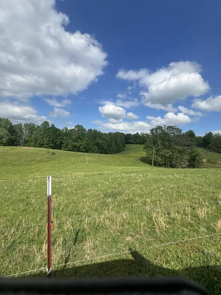 43.36 Ac Winningham Road Byrdstown TN 38549