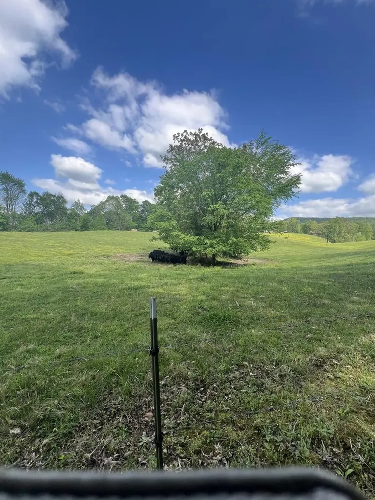 43.36 Ac Winningham Road Byrdstown TN 38549
