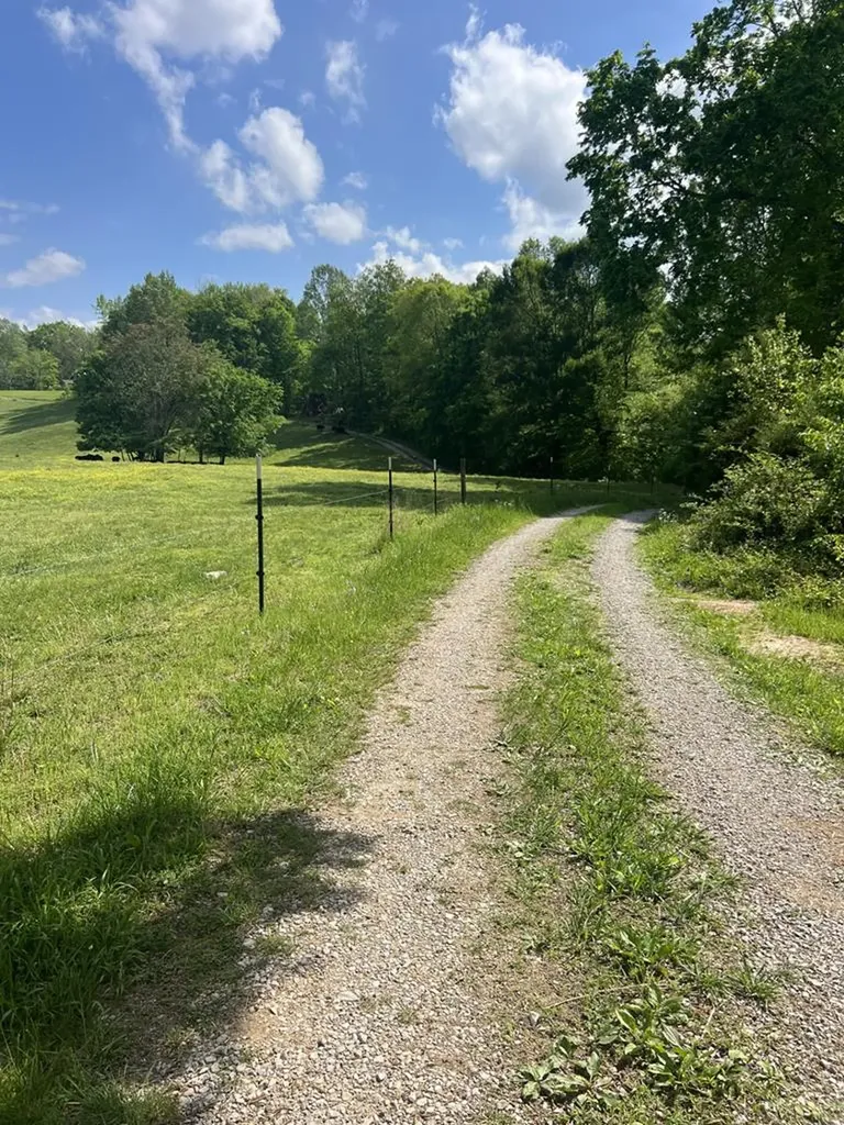 43.36 Ac Winningham Road Byrdstown TN 38549