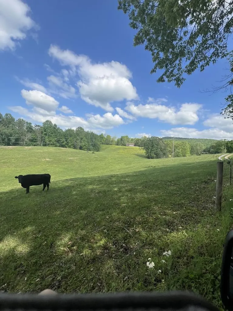 43.36 Ac Winningham Road Byrdstown TN 38549