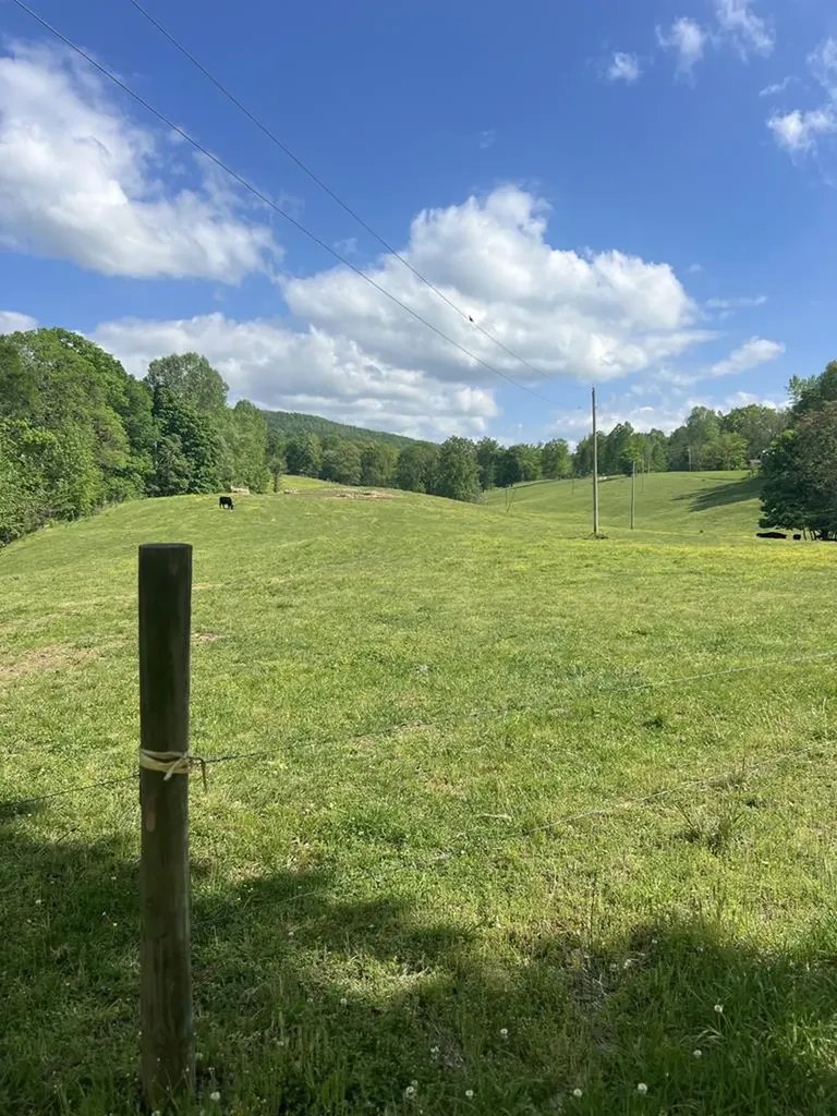 43.36 Ac Winningham Road Byrdstown TN 38549