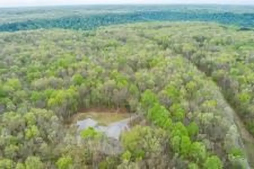 1721 Huckleberry Monterey TN 38574