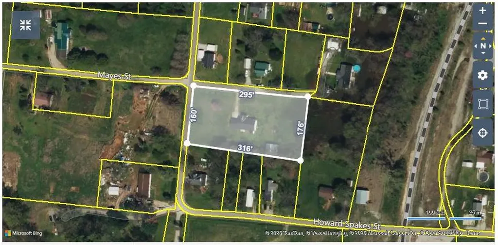 239 Mays Street Doyle TN 38559