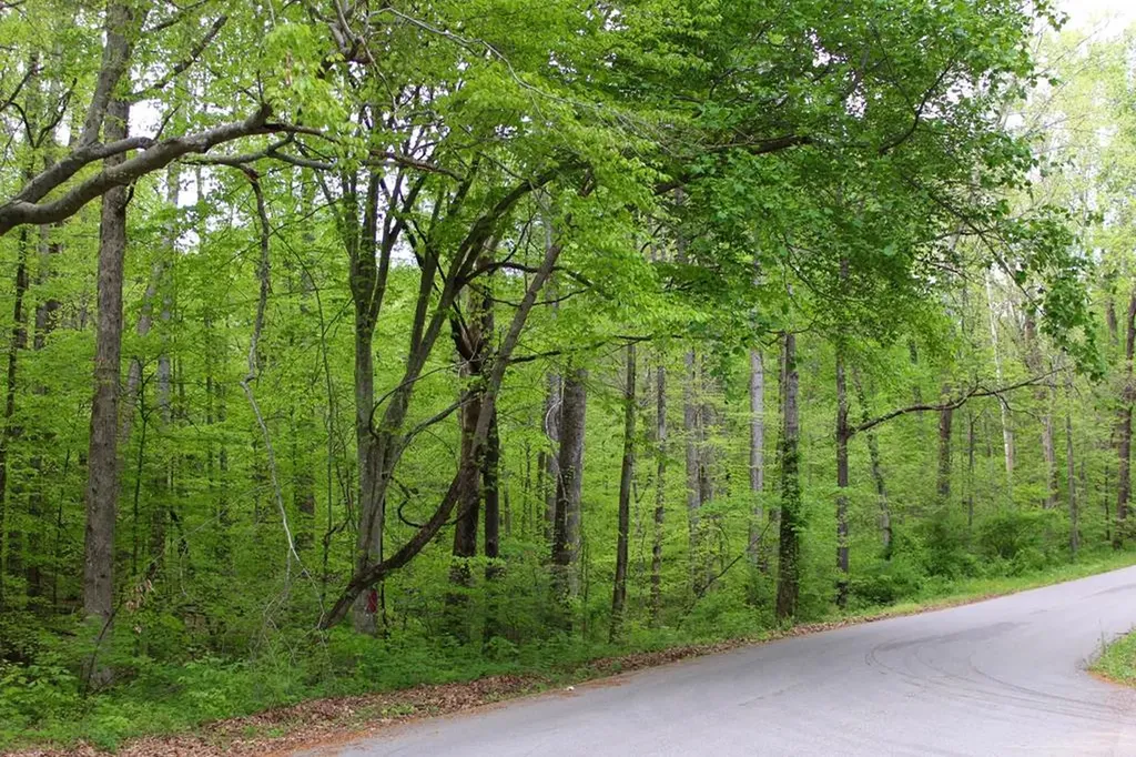 23 Ac Forrest Road Tract 1 Cookeville TN 38501