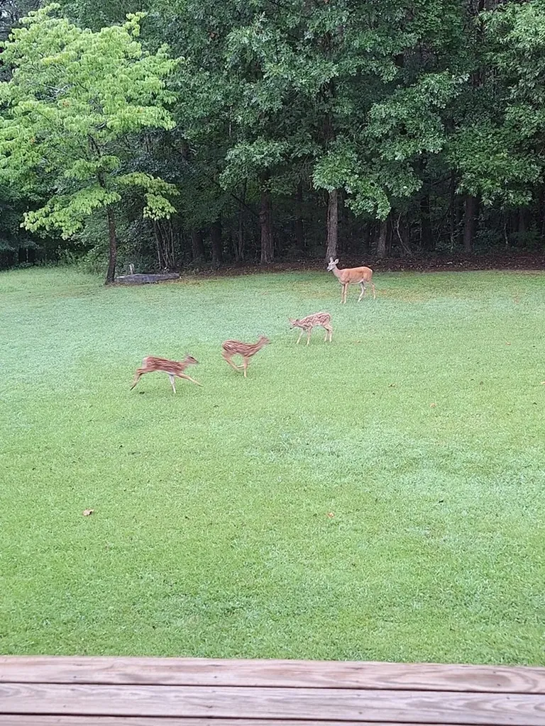 146 Sparkmantown Road Rock Island TN 38581