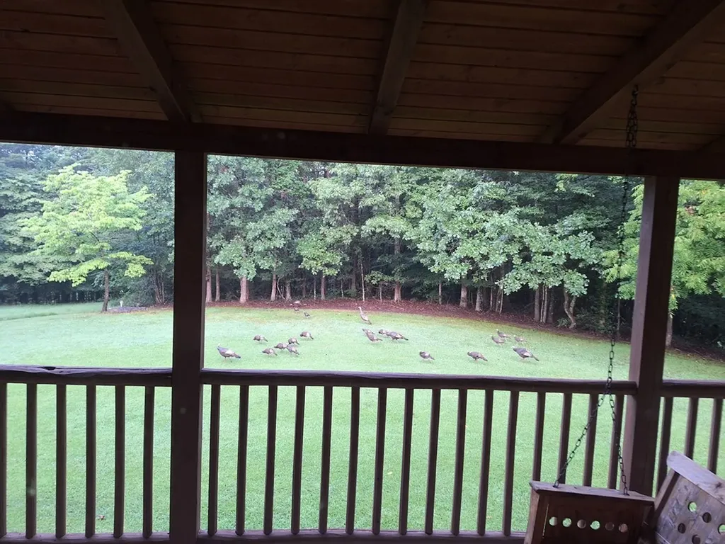 146 Sparkmantown Road Rock Island TN 38581