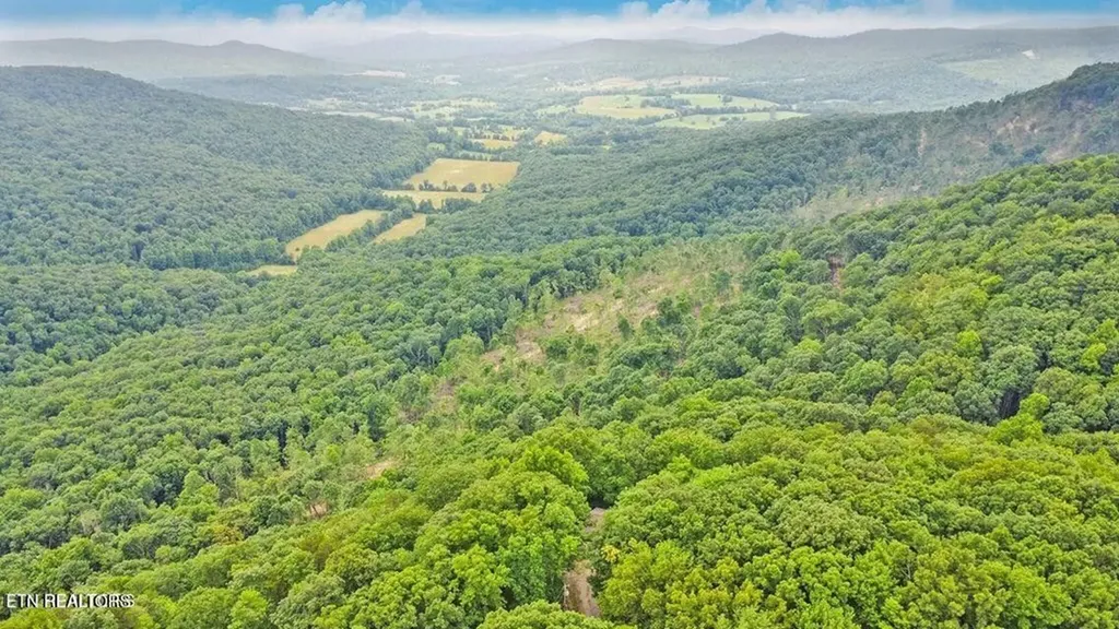 560 Yellow Cliff Estate Road Jamestown TN 38556