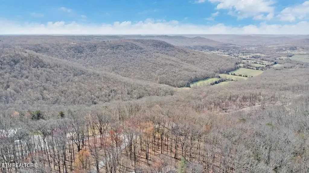 560 Yellow Cliff Estate Road Jamestown TN 38556