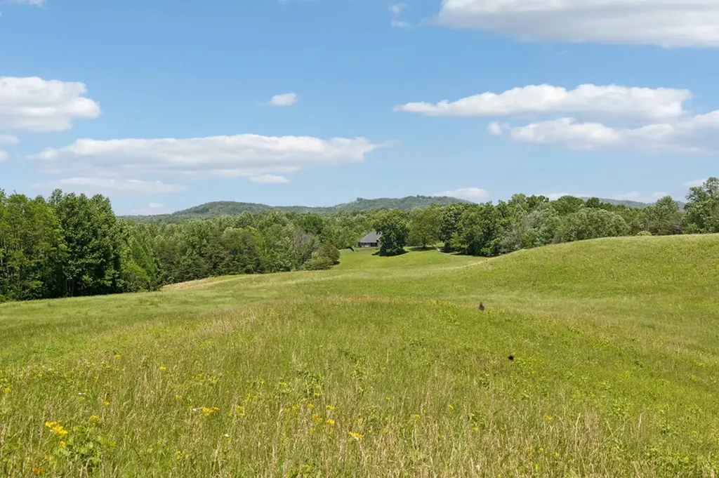 219 Dale Lane Hilham TN 38568