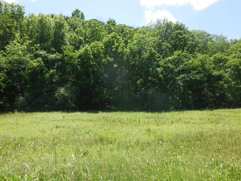 0 Hopkins Hollow Gainesboro TN 38562