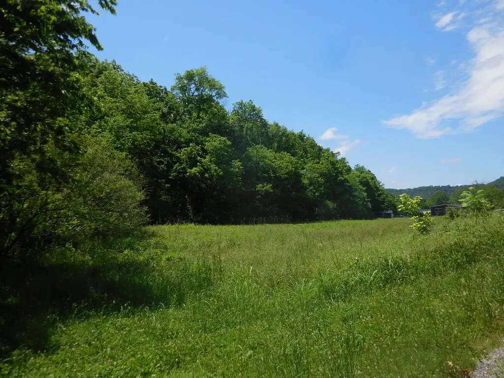 0 Hopkins Hollow Gainesboro TN 38562