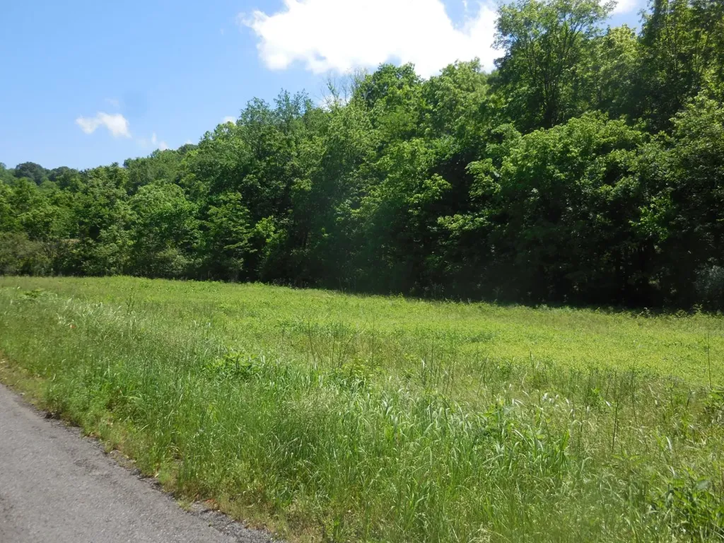 0 Hopkins Hollow Gainesboro TN 38562