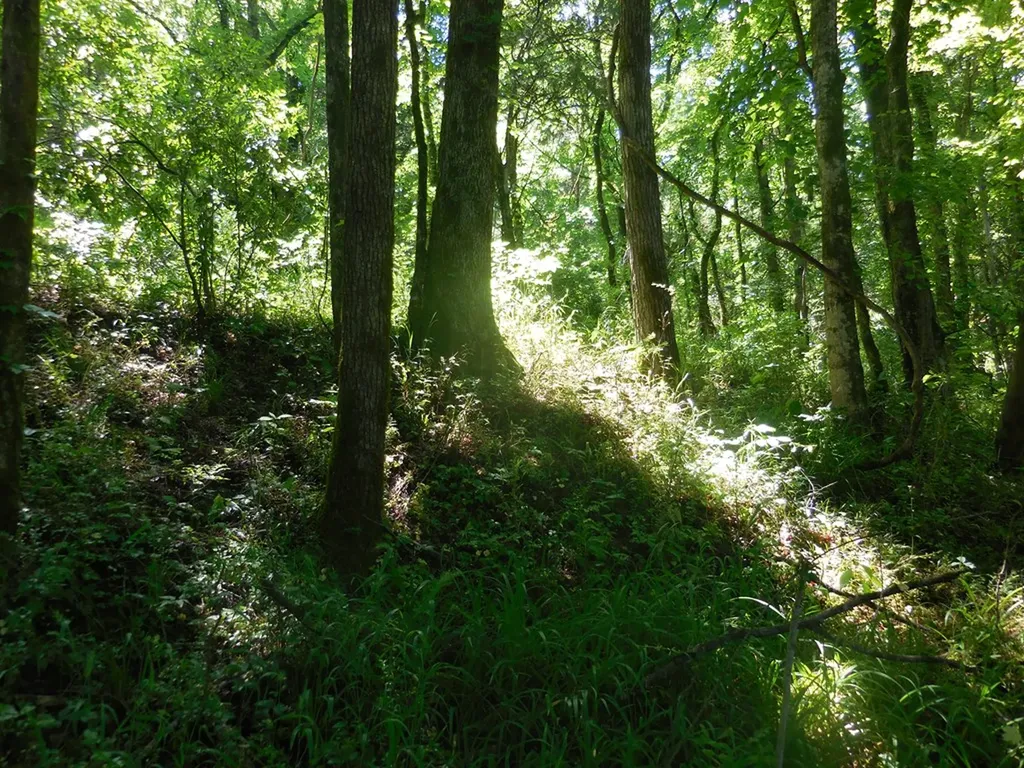 0 Hopkins Hollow Gainesboro TN 38562