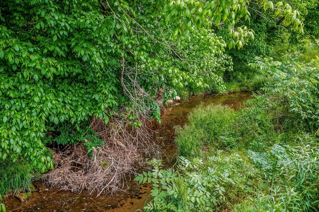 220 Little Salt Creek Road Carthage TN 37030