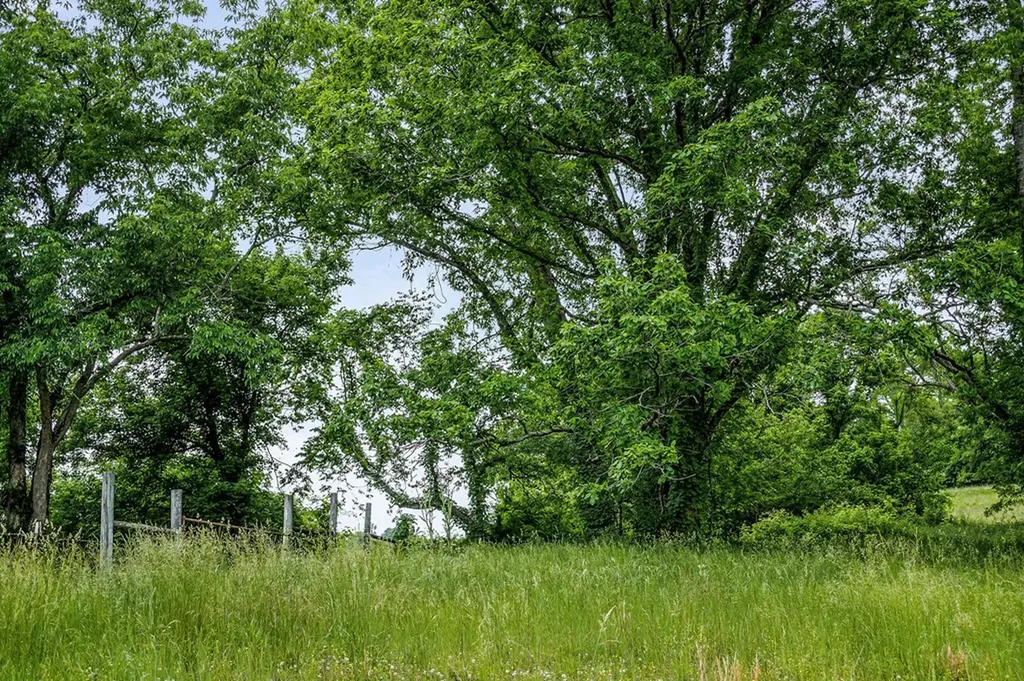 220 Little Salt Creek Road Carthage TN 37030