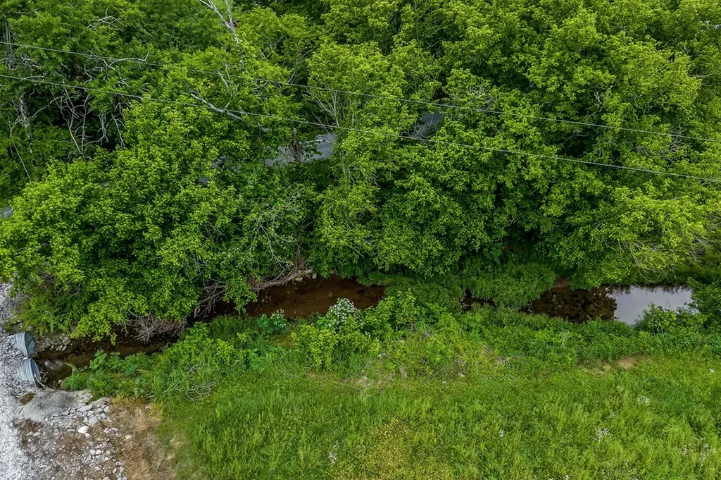 220 Little Salt Creek Road Carthage TN 37030