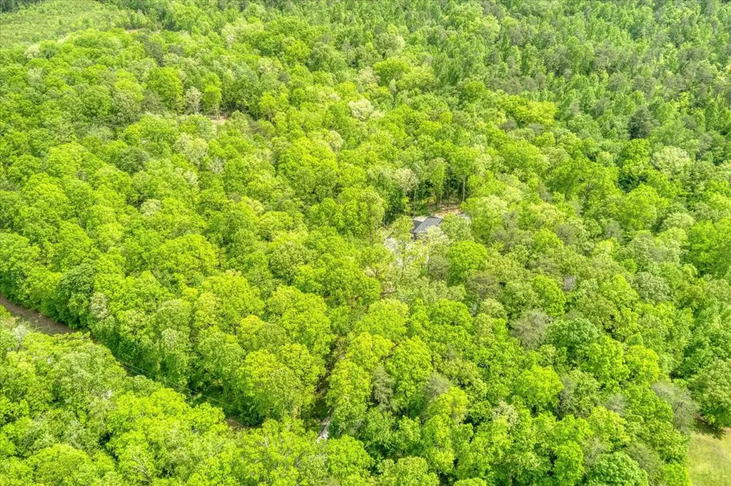 244 Ivy Lane Pikeville TN 37367