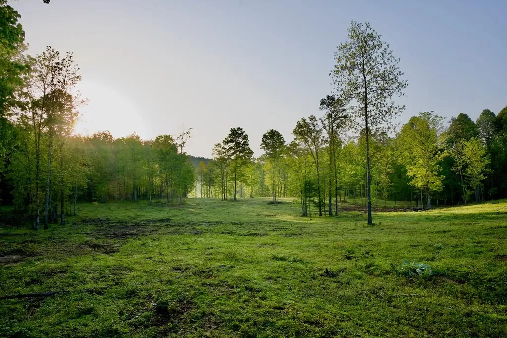 40.46ac Barker Cove Loop N Of Palmer TN 37365
