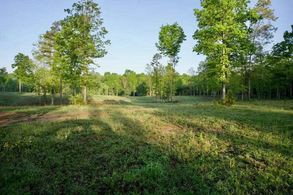 40.46ac Barker Cove Loop N Of Palmer TN 37365
